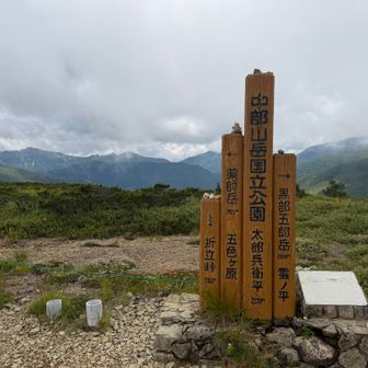 後ろ髪引かれるが、そろそろ太郎平を後にする。
