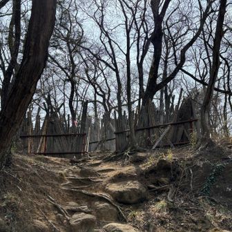 霊場に無数の卒塔婆