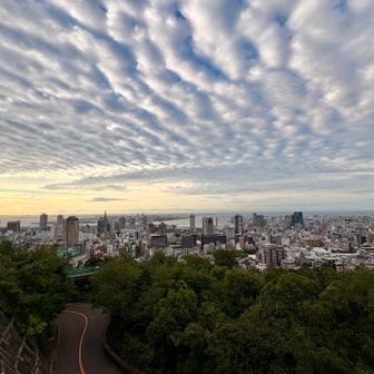 大阪湾を一望👀