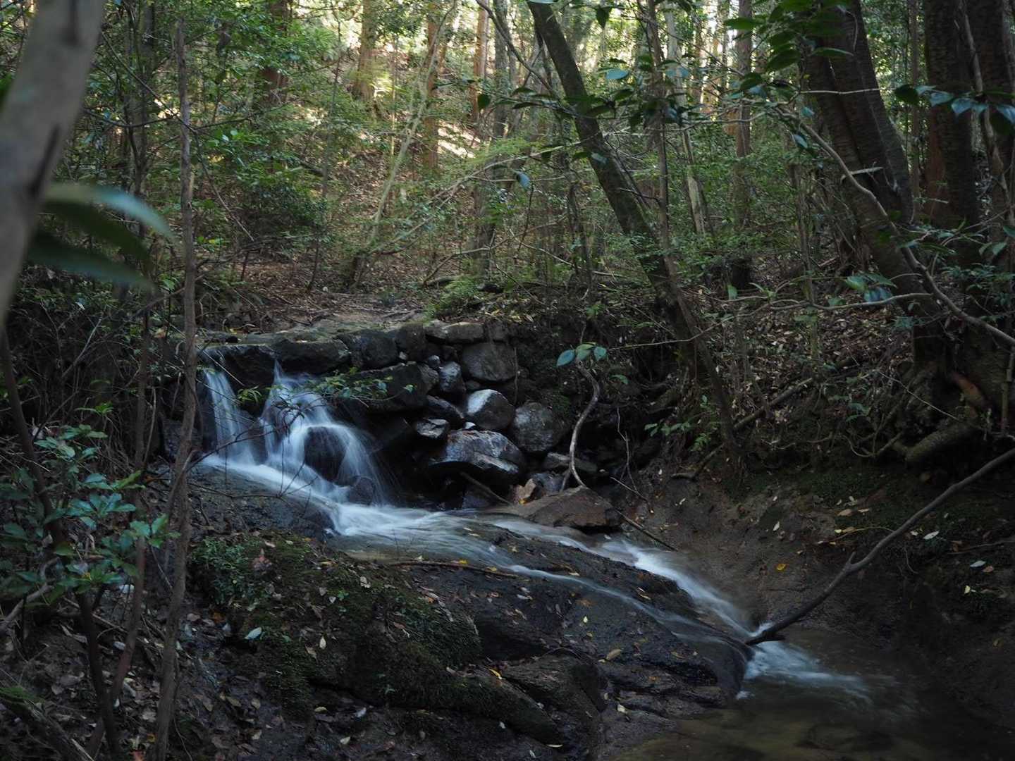 霜降岳-男山 周回コースの写真