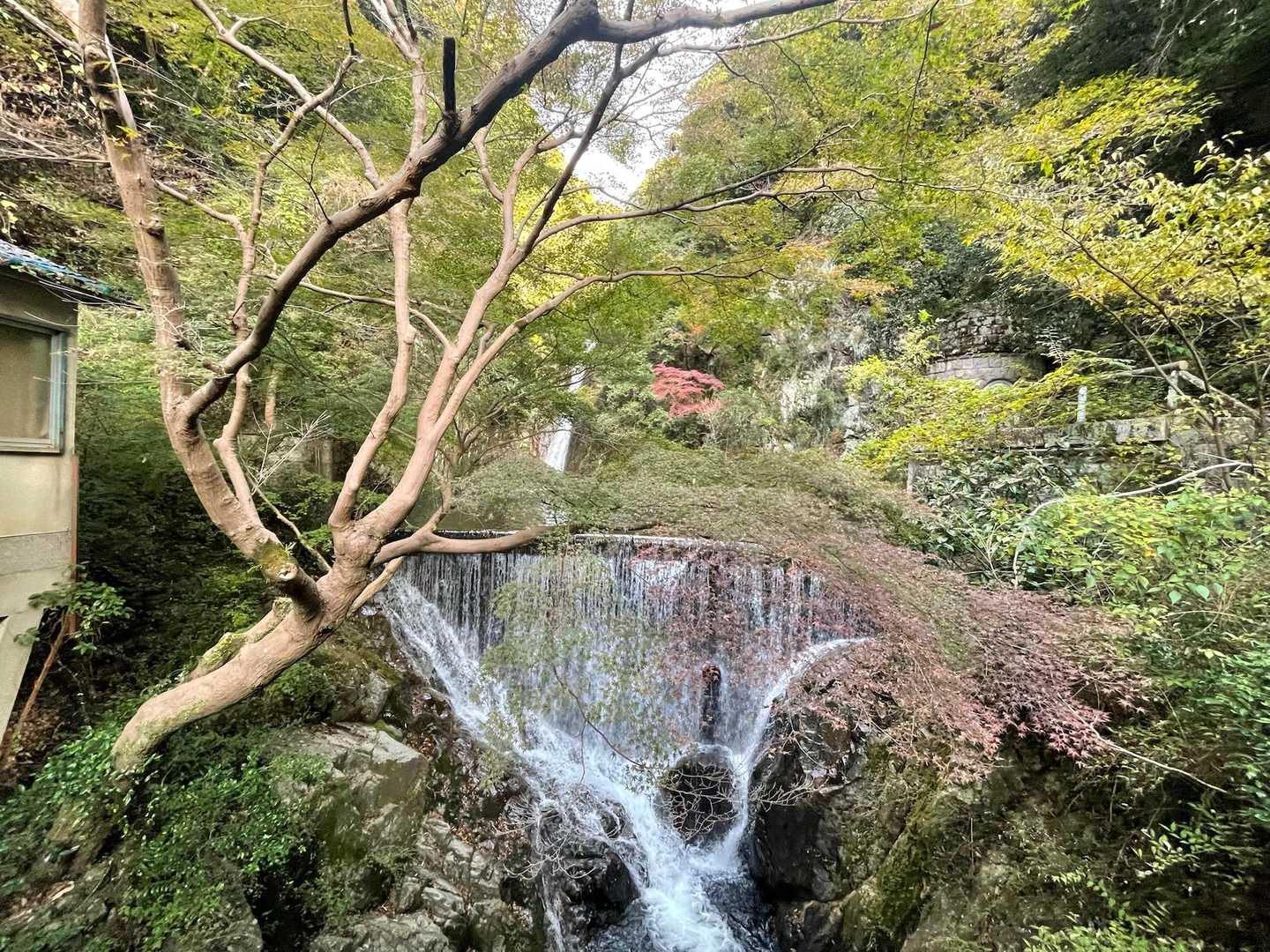 新神戸駅-東山-滝山城跡登山口 周回コースの写真