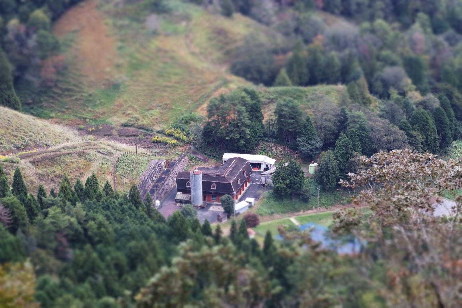 牛頭山西峰 往復コースの写真