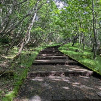 階段は須走登山道