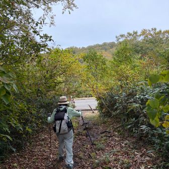 秣岳登山口に降りてきた〜