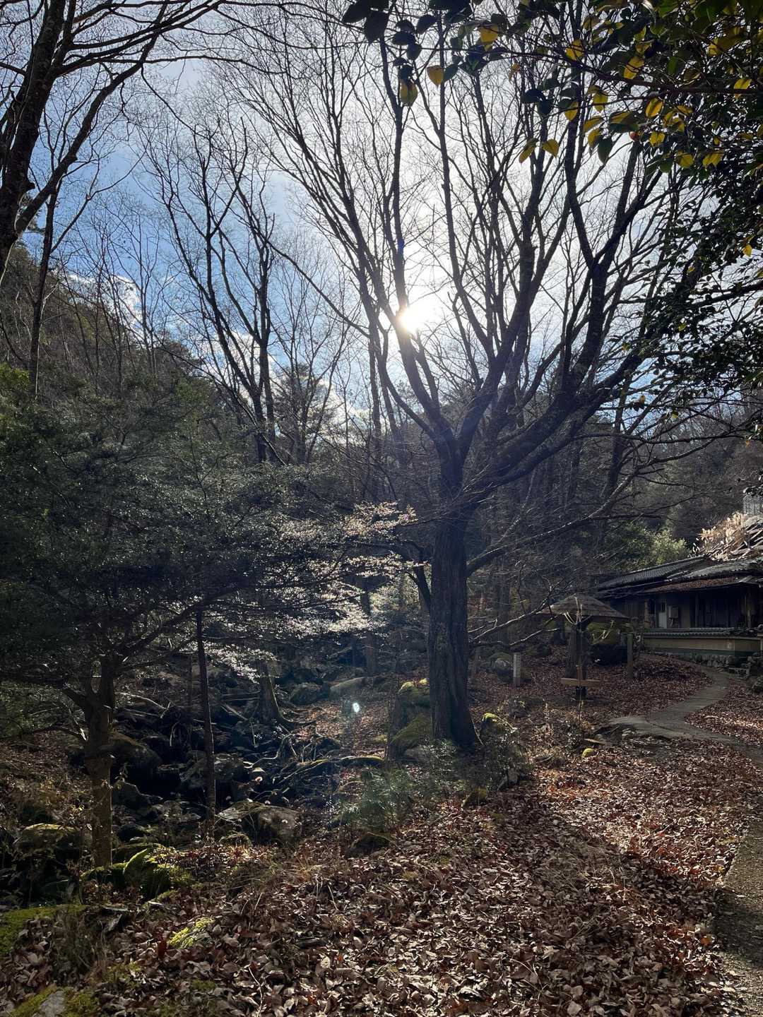 【るり渓】清らかな水の流れと岩や淵が織りなす豊かな景観の写真