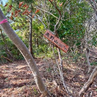 奥野山！
