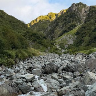 秩父沢にて。