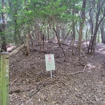尺岳、福知山方面