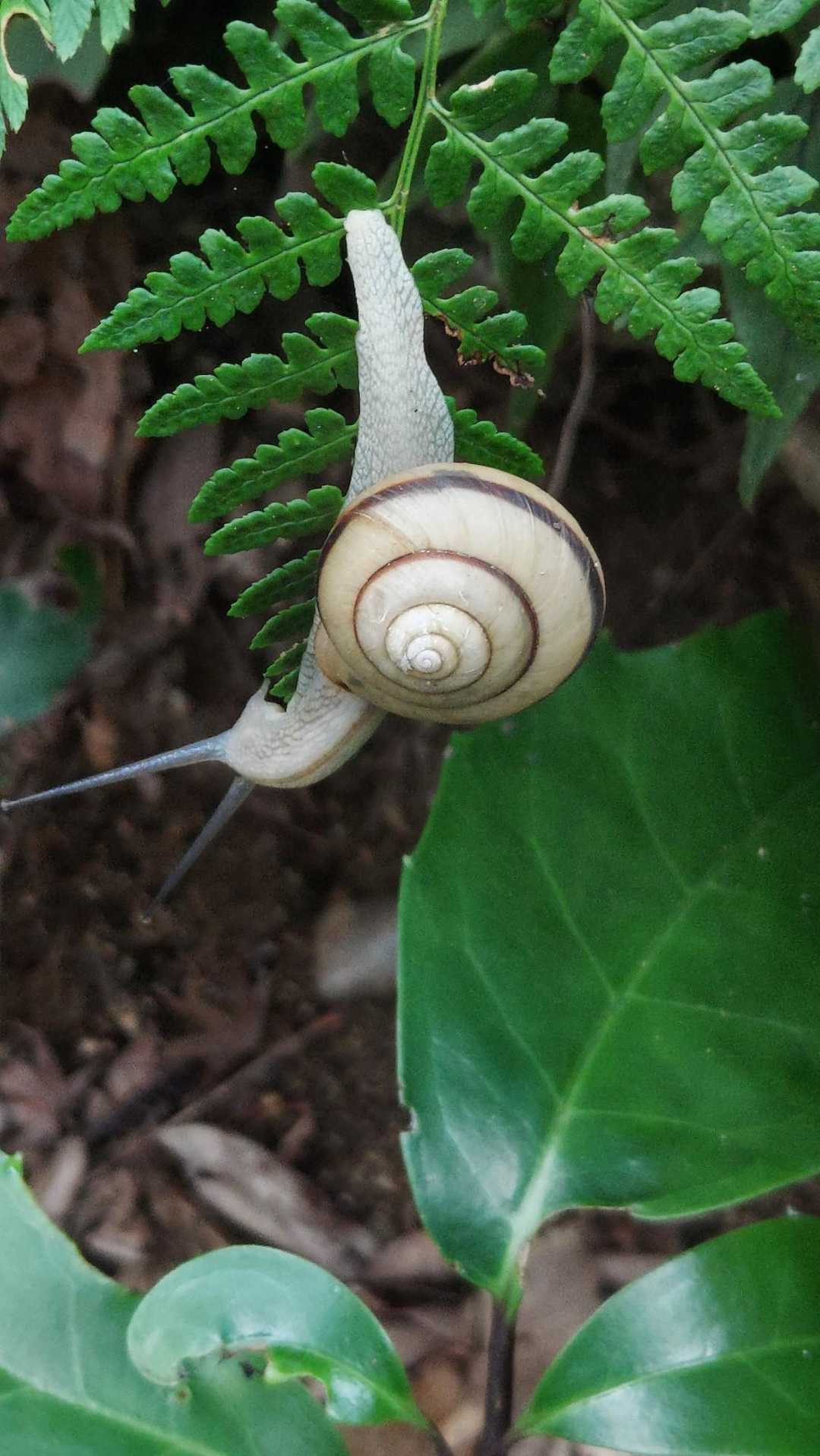 久しぶりに見たね😃