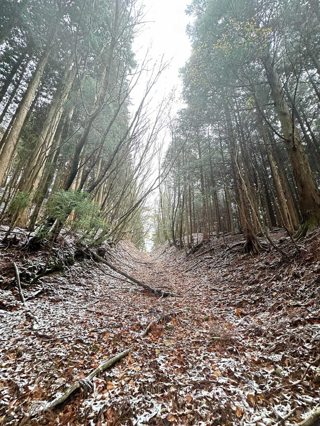 ここから白口峰に登ります⛰️