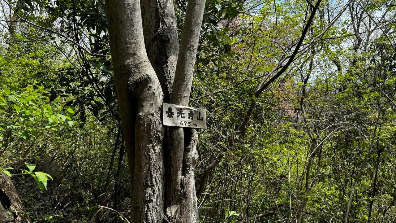南高尾セブンサミッツ（大洞山・コンピラ山・中沢山・入沢山・泰光寺山・榎窪山・草戸山） の写真 22