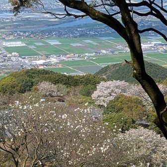 高良山山頂　筑後平野を横切る筑後川がよく見えます