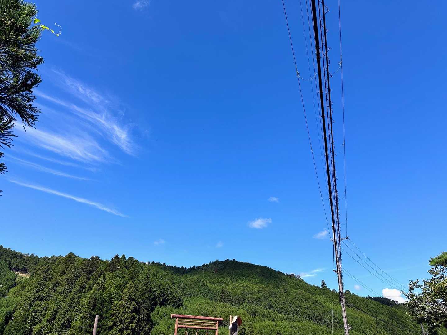 茶呑峠-鳴の堂 縦走コースの写真