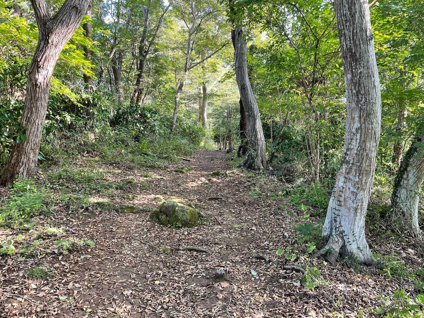 紅葉山登頂⛰️
標識わかりませんでした…