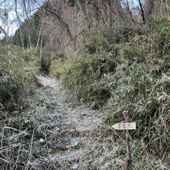 氷点下スタート