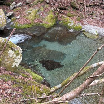 透きとおった水💧