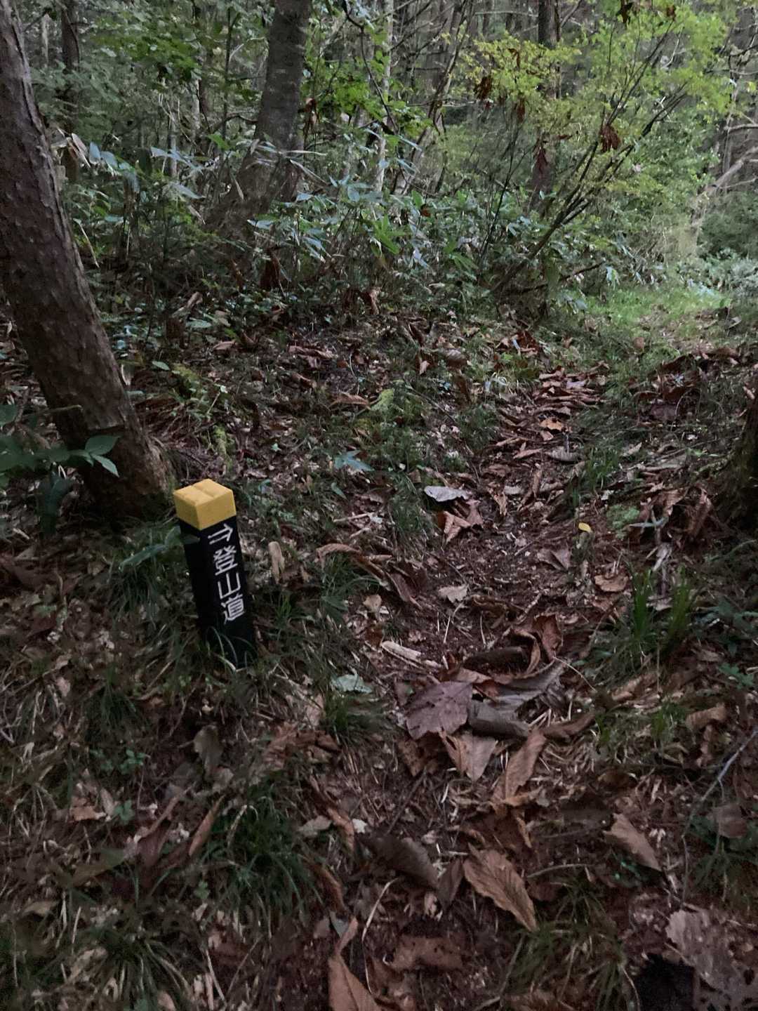 分かりやすい登山道