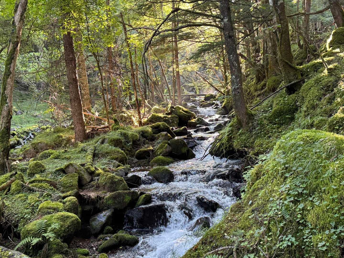 美濃戸口登山口-美濃戸登山口-赤岳-地蔵ノ頭-堰堤広場 周回コースの写真