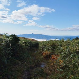 南のあのトンガリ山は昆布岳?