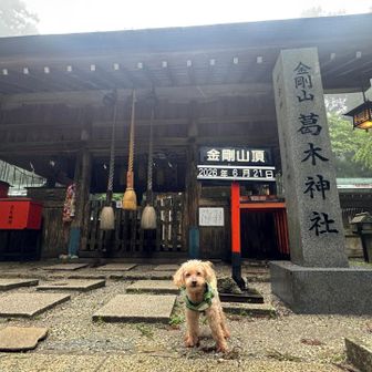 一人と一匹、怪我なく無事に完歩できました🙏🐶