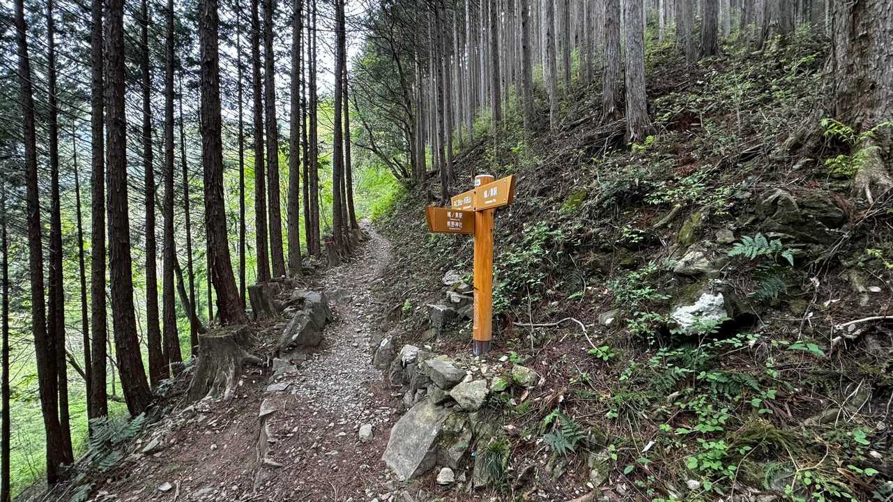 川苔山・梶尾根縦走 の写真 8