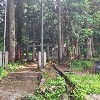 そして何だかんだ色々な事があって帰ってきてからの鳥坂神社