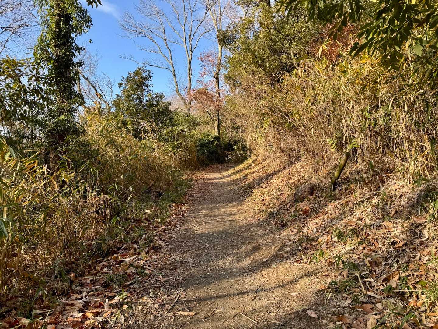 ずっとこのまま続いてほしい