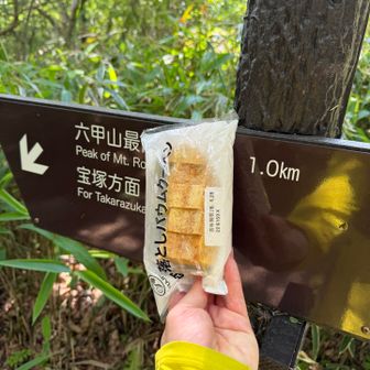 六甲最高まであと1km！
とてもお得な🉐切り落としバウムは職場の自販機に入荷されるとすぐ無くなりますが入荷のタイミングは謎🤫

追記
バウムで字を隠して六甲最高やってたつもりですがそうなるわけもなくこの時の疲労感のあらわれです🥶