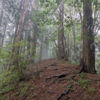 登ります