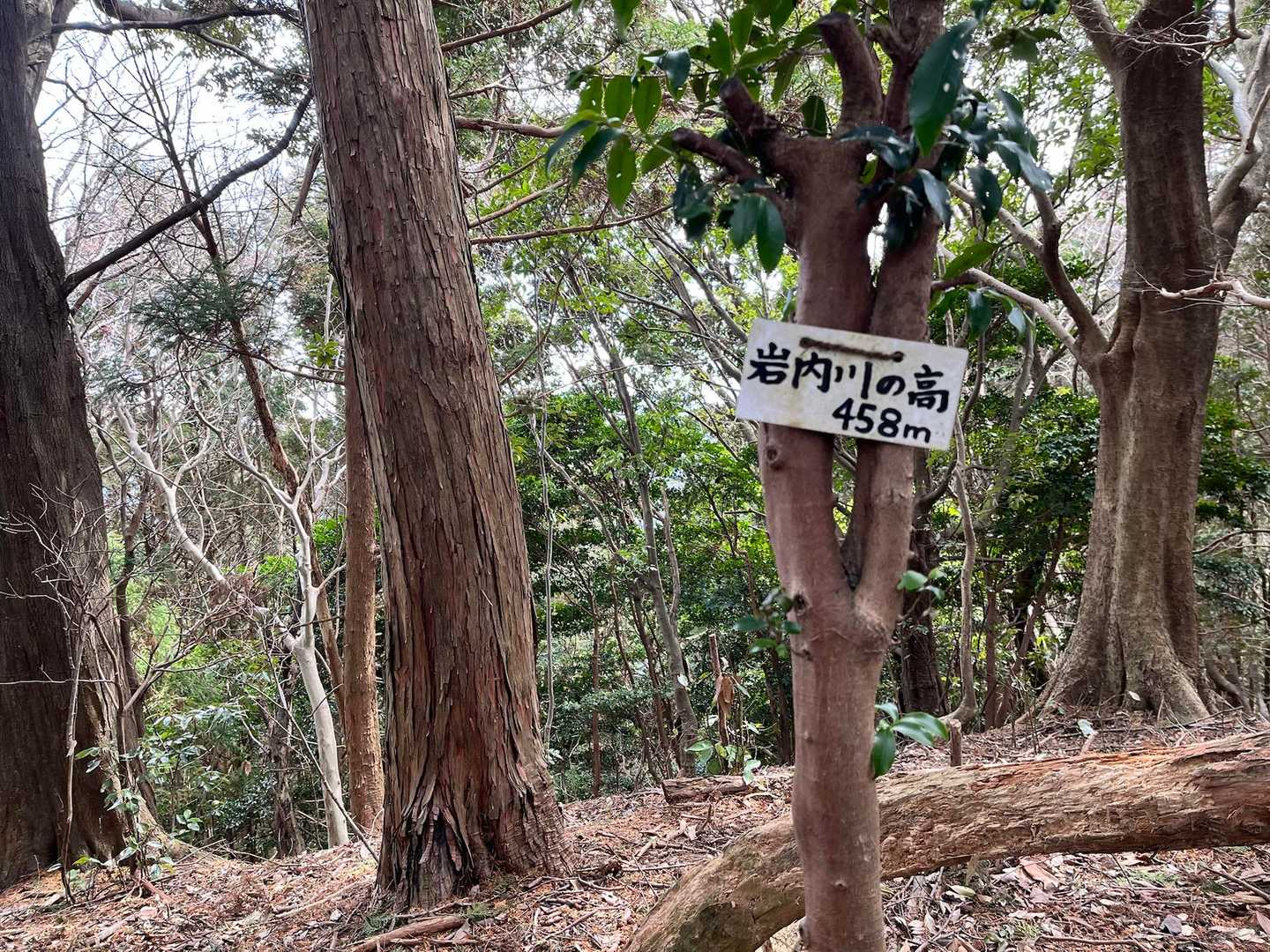 岩内川の高