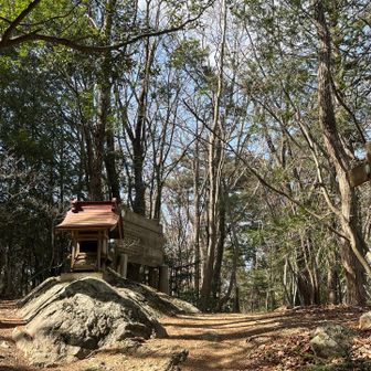 愛宕山💪
山頂標はなかった