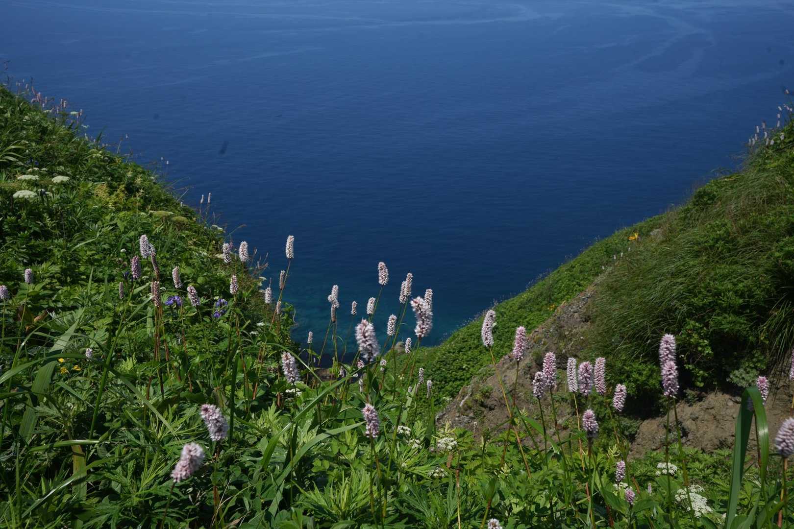 桃岩展望台登山口-キンバイの谷-つばめ山-元地灯台 縦走コースの写真
