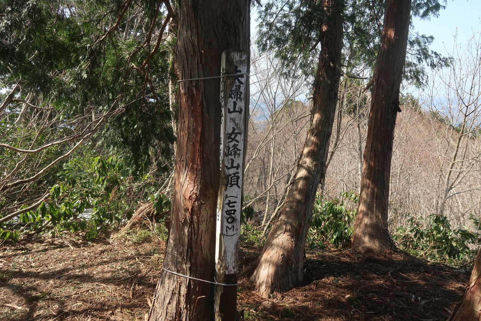 夫婦山-夫婦山 往復コースの写真