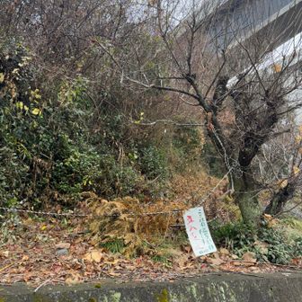 猪ノ鼻山をgetしたかったからですよ😉
登ることはできませんでしたが、🙆‍♂️