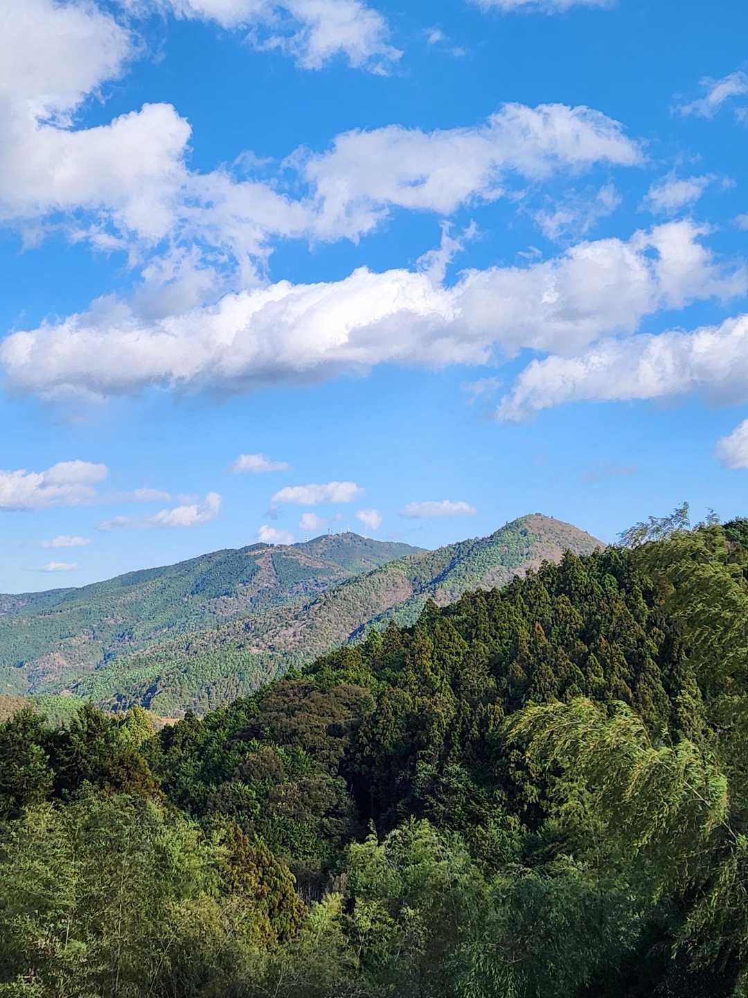手前右、勝森
奥左、虚空蔵山
