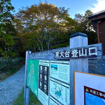 ここからスタート🚶