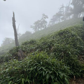 こりゃ展望は期待出来なさそう…