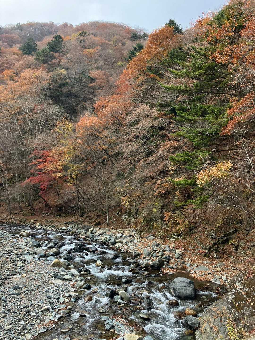 御正体山 往復コースの写真