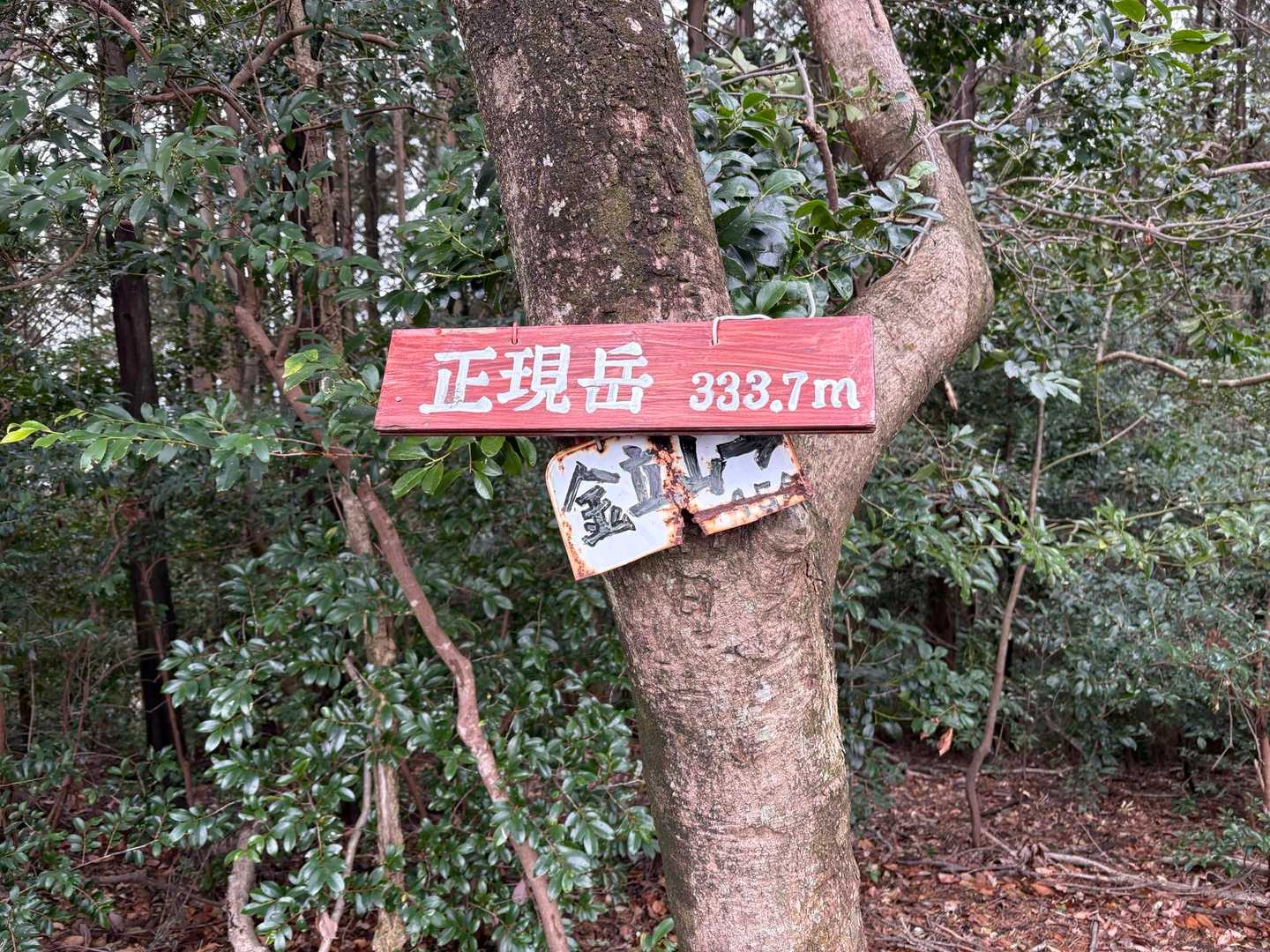 正現岳は道の途中という感じ。
展望無し。