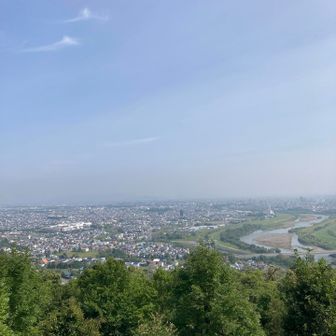 展望台から