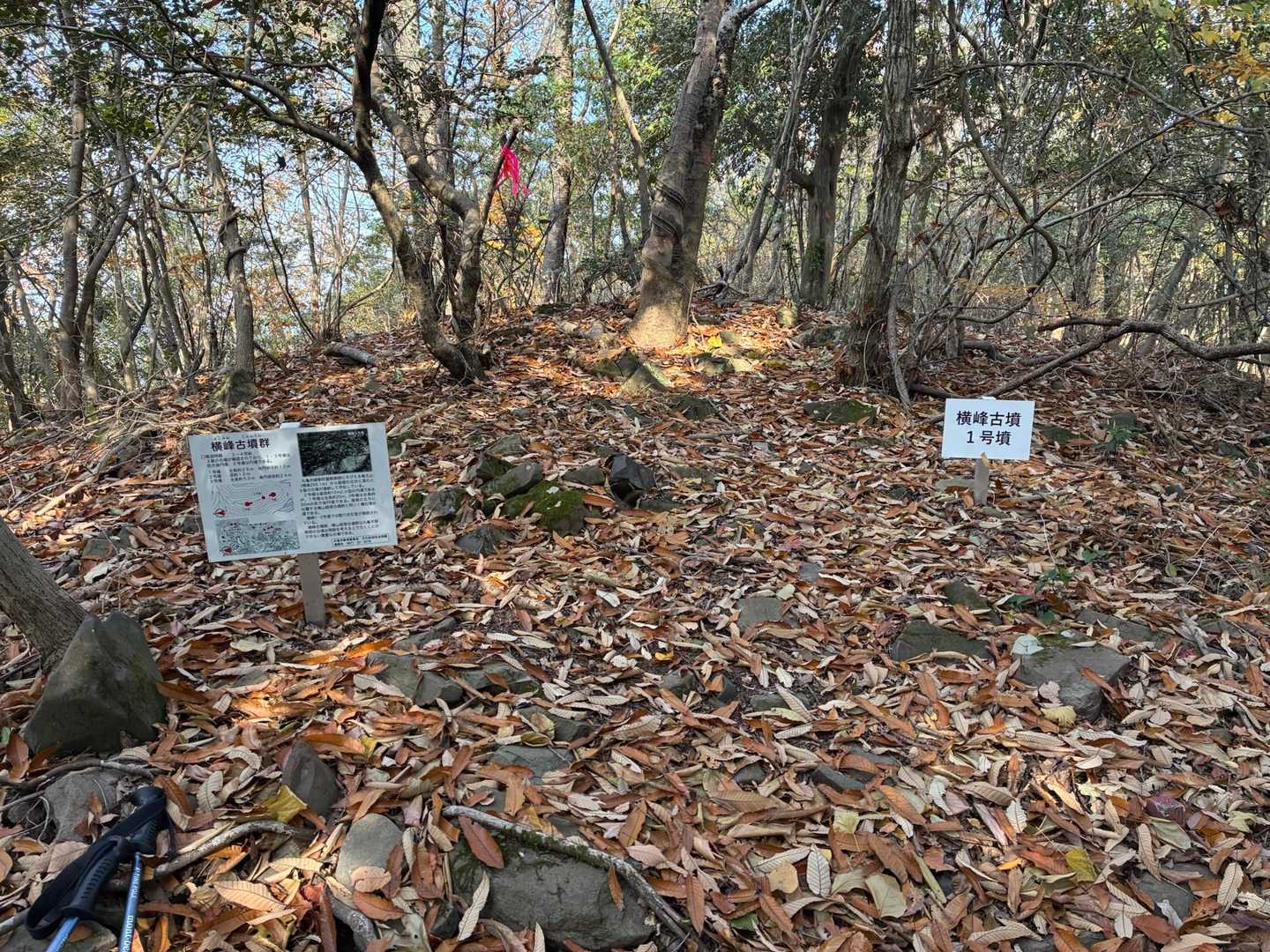 竜王山遊歩道登山口-綾歌竜王山-横山 往復コースの写真