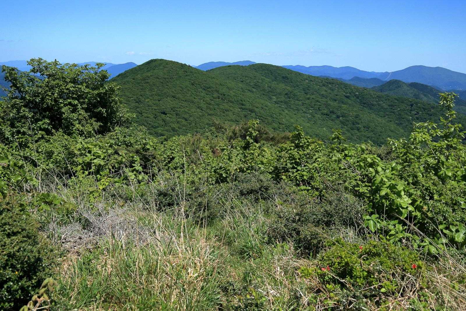 伊良谷山と牛曳山