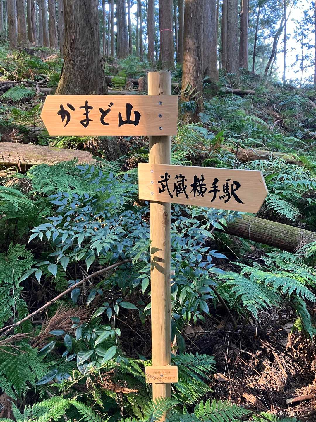 かまど山はこっち