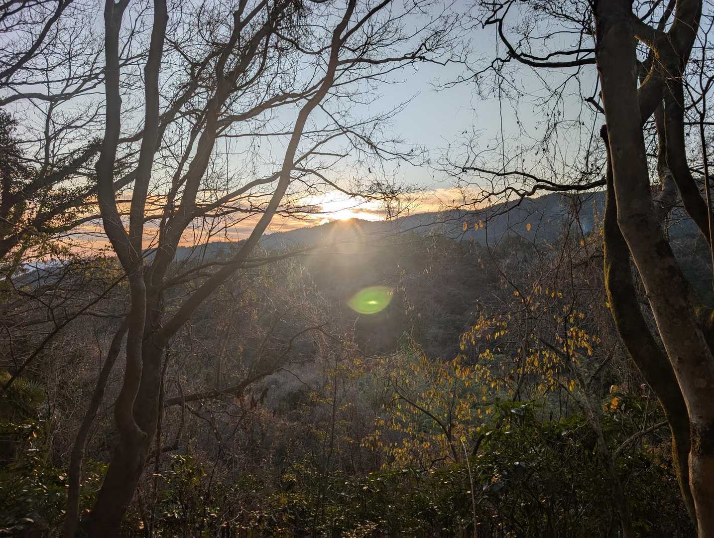 朝日🌄