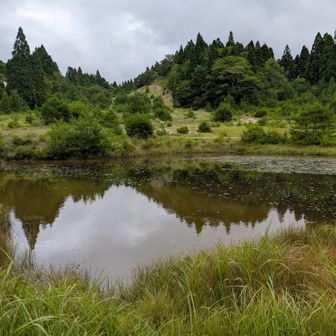 ここの池の先も広かったです
一瞬？？次どっち？になったけど親切な方に教えてもらったよ