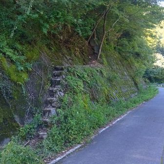 ここから出て来ました。

下山口から駐車スペースまではすぐ近くです。

下山後温泉は近くの「さわらびの湯」を利用しました。お昼前の訪問だったからか、空いていて良かったです。