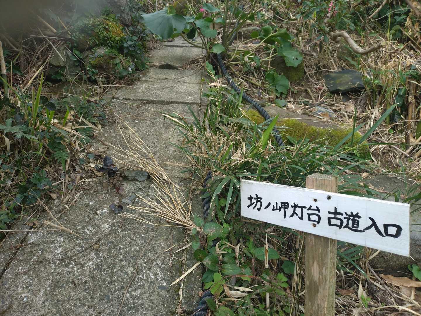 ここから〜👣