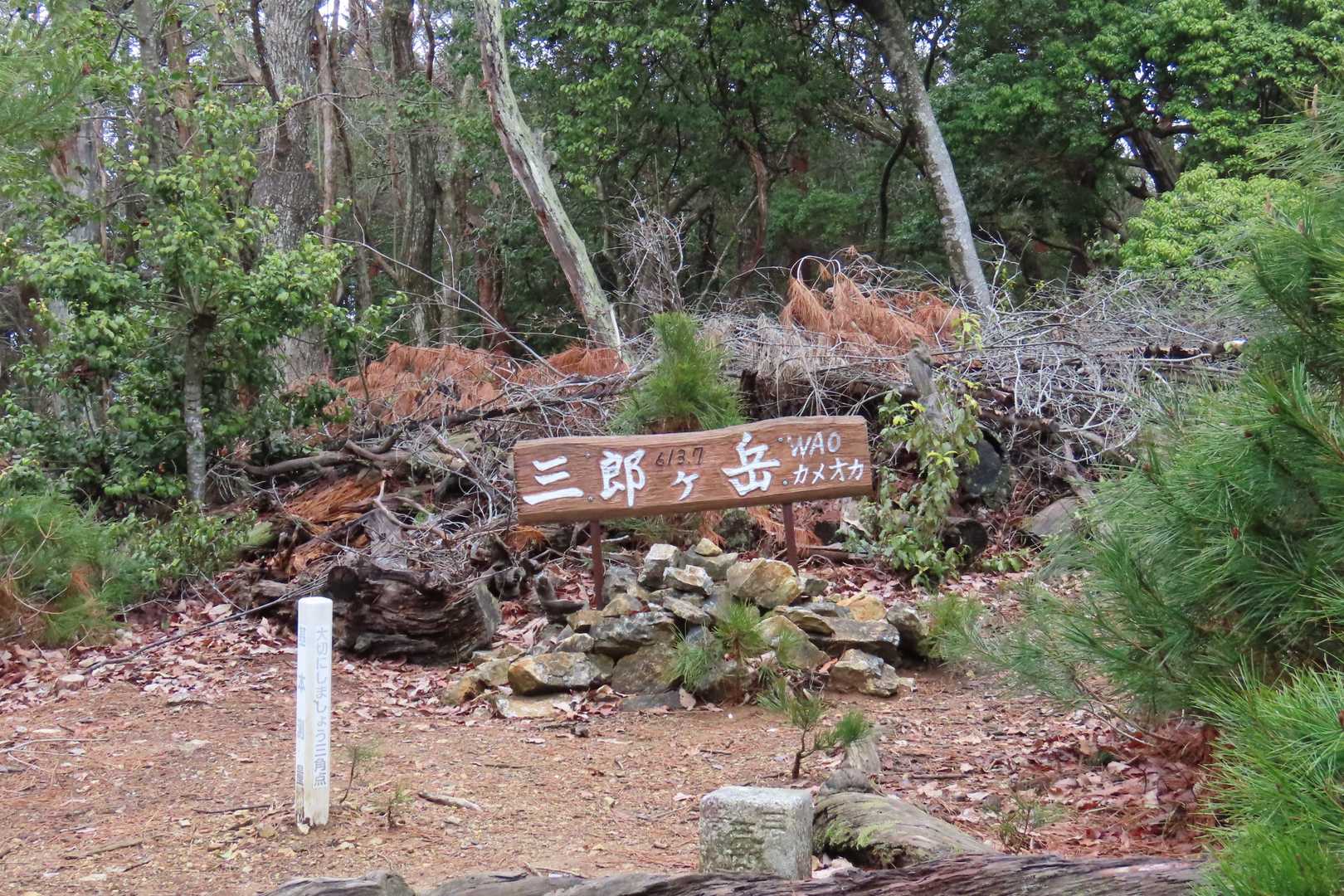 三郎ヶ岳山頂
三等三角点あり
眺望は利きません。

