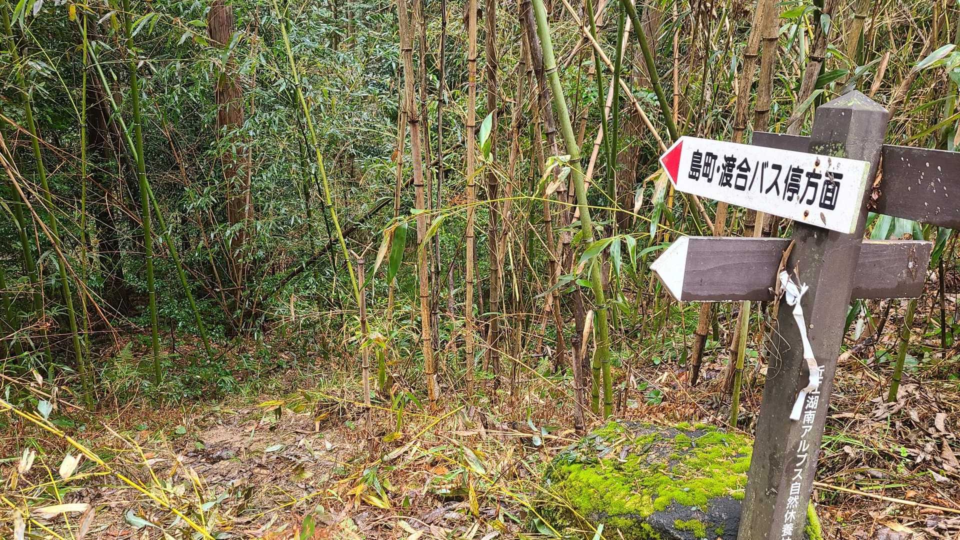 下の分岐からはここに出るみたい