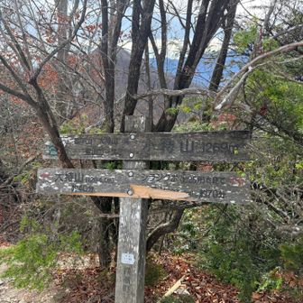 結構な登りでヒンヒンいいながらも小持山山頂到着